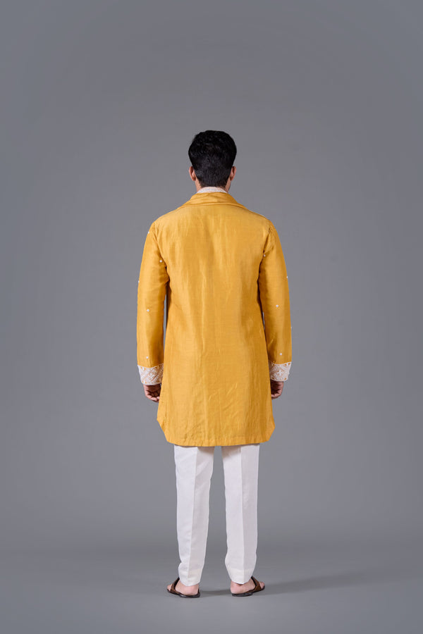 Sunlit Royale Linen Silk Kurta Set