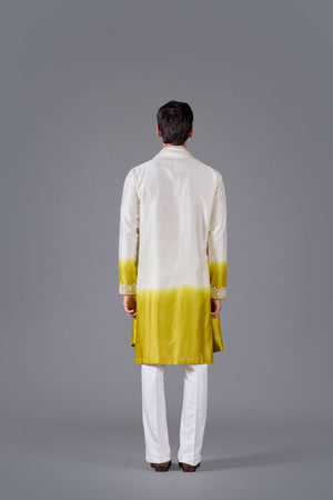 Golden Mirage Kurta Set