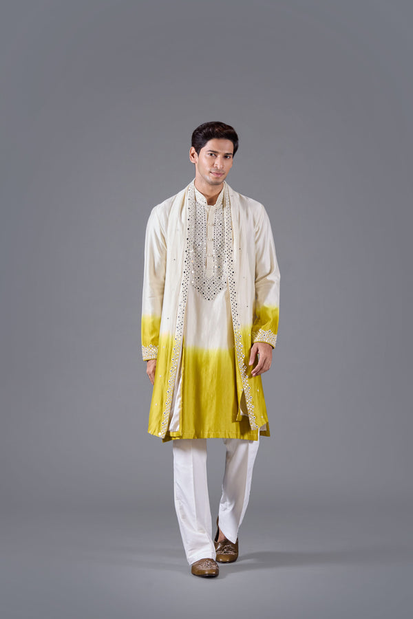 Golden Mirage Kurta Set