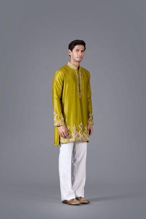 Verdant Majesty Linen Silk Kurta