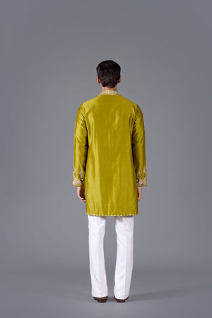 Verdant Majesty Linen Silk Kurta