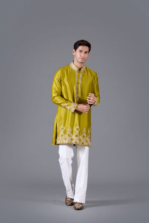 Verdant Majesty Linen Silk Kurta