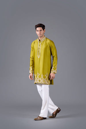 Verdant Majesty Linen Silk Kurta