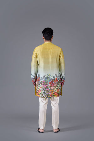 Sunburst Aura Digital Printed Kurta